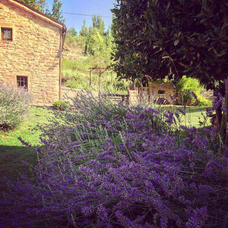 Ca' Maranghi Holiday House Palazzuolo Sul Senio Eksteriør bilde