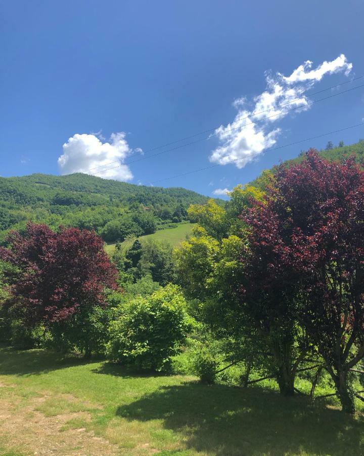 Ca' Maranghi Holiday House Palazzuolo Sul Senio Eksteriør bilde